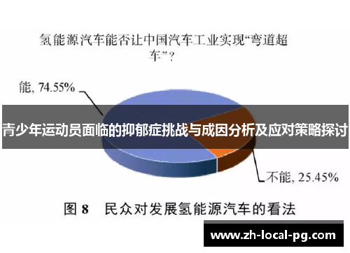 青少年运动员面临的抑郁症挑战与成因分析及应对策略探讨